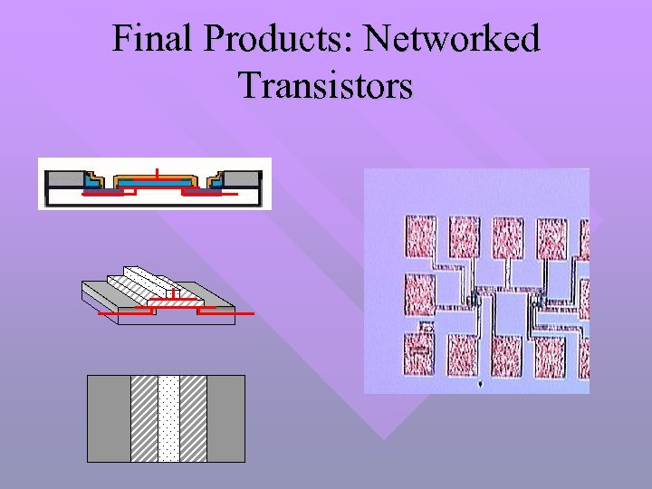Final Products: Networked Transistors 