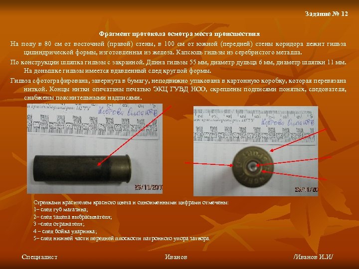 Фрагмент осмотра