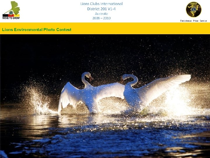 Lions Environmental Photo Contest 