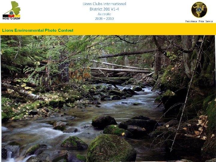 Lions Environmental Photo Contest 