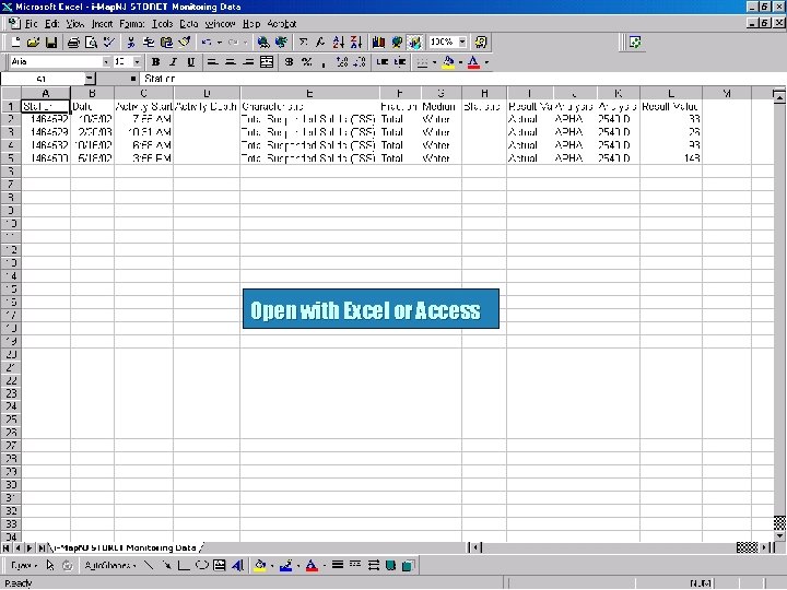 Open with Excel or Access 