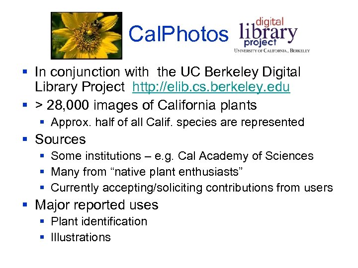 Cal. Photos § In conjunction with the UC Berkeley Digital Library Project http: //elib.