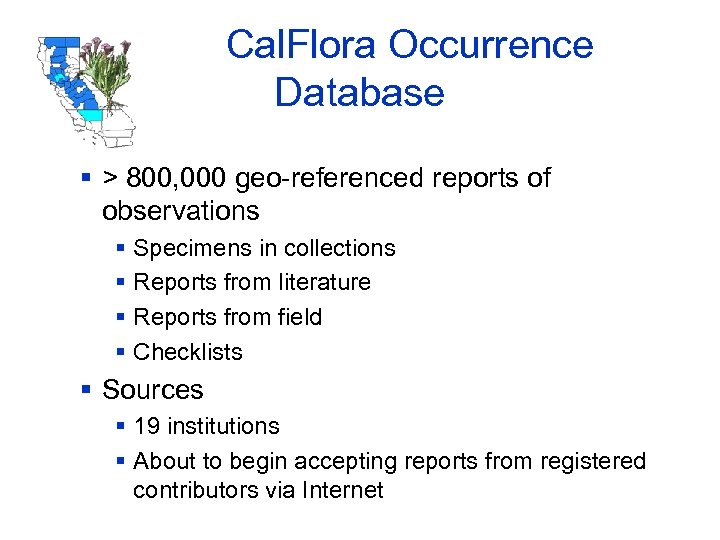 Cal. Flora Occurrence Database § > 800, 000 geo-referenced reports of observations § Specimens