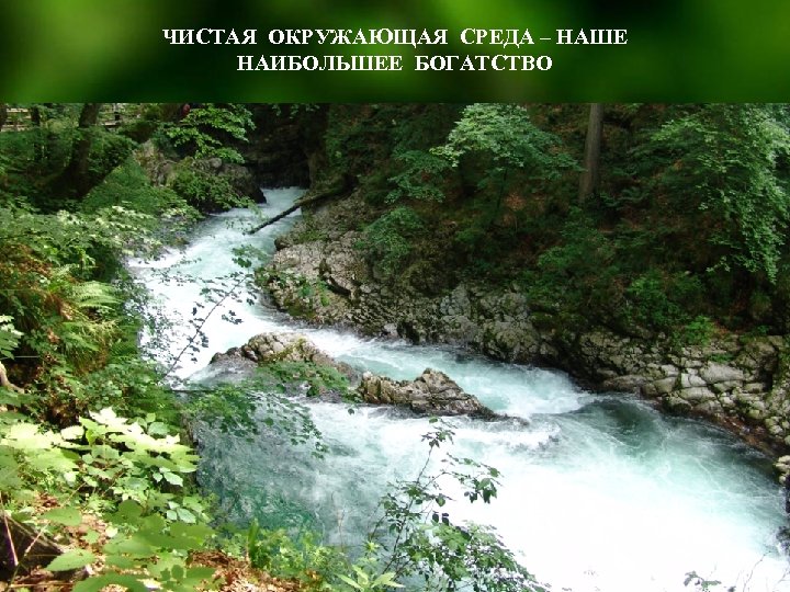 ЧИСТАЯ ОКРУЖАЮЩАЯ СРЕДА – НАШЕ НАИБОЛЬШЕЕ БОГАТСТВО 