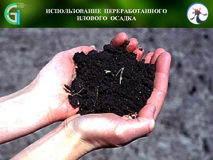 ИСПОЛЬЗОВАНИЕ ПЕРЕРАБОТАННОГО ИЛОВОГО ОСАДКА 