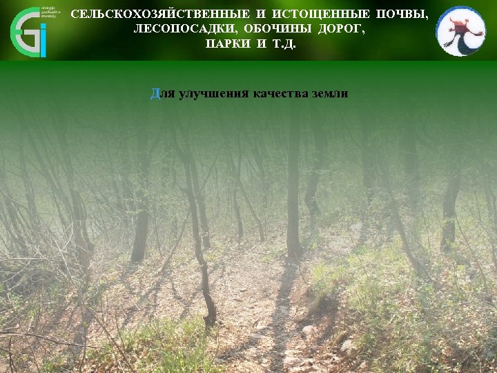 СЕЛЬСКОХОЗЯЙСТВЕННЫЕ И ИСТОЩЕННЫЕ ПОЧВЫ, ЛЕСОПОСАДКИ, ОБОЧИНЫ ДОРОГ, ПАРКИ И Т. Д. Для улучшения качества