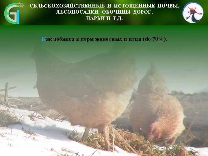 СЕЛЬСКОХОЗЯЙСТВЕННЫЕ И ИСТОЩЕННЫЕ ПОЧВЫ, ЛЕСОПОСАДКИ, ОБОЧИНЫ ДОРОГ, ПАРКИ И Т. Д. Как добавка в