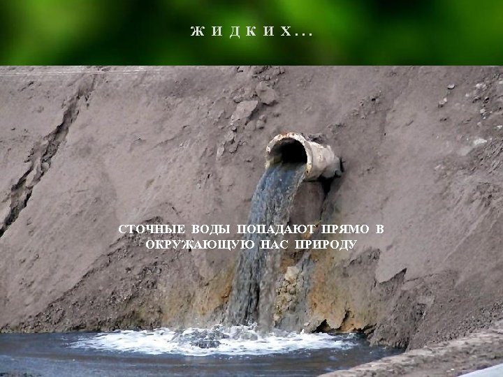 Ж И Д К И Х. . . СТОЧНЫЕ ВОДЫ ПОПАДАЮТ ПРЯМО В ОКРУЖАЮЩУЮ