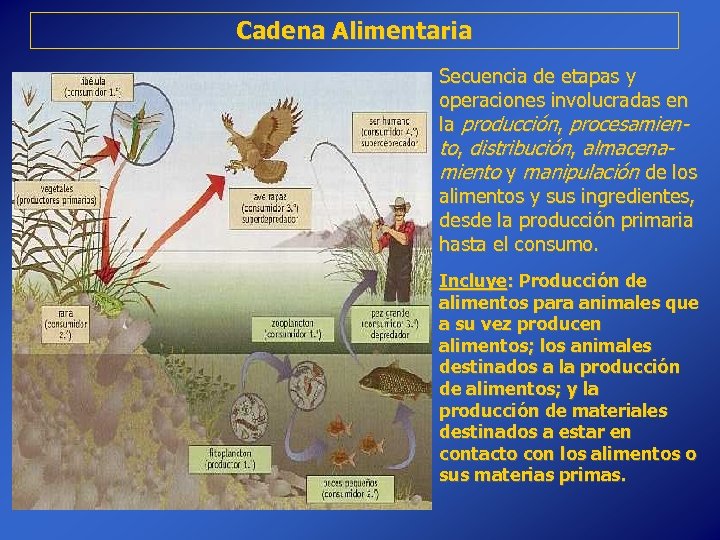 Cadena Alimentaria Secuencia de etapas y operaciones involucradas en la producción, procesamiento, distribución, almacenamiento