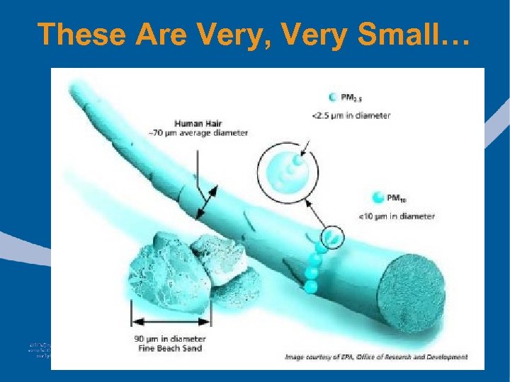 These Are Very, Very Small… 