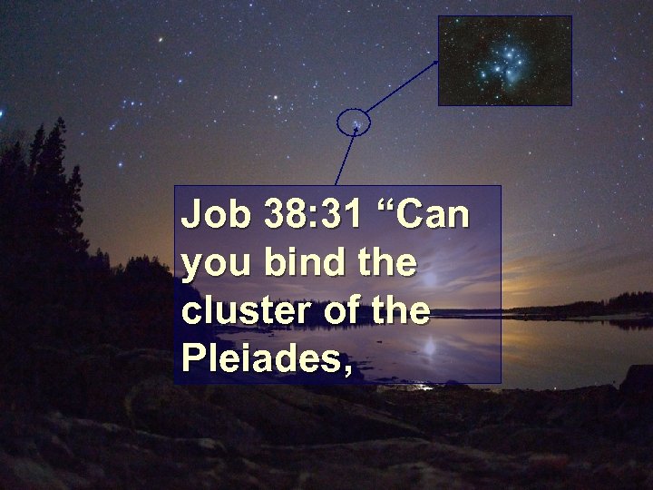 Job 38: 31 “Can you bind the cluster of the Pleiades, 