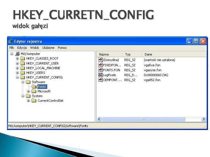 HKEY_CURRETN_CONFIG widok gałęzi 