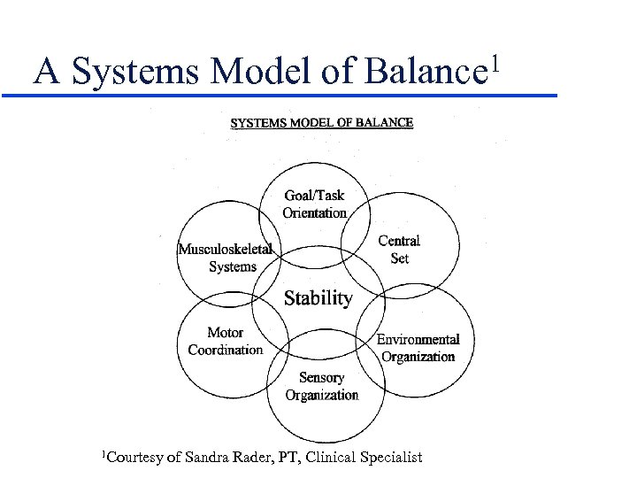 A Systems Model of Balance 1 1 Courtesy of Sandra Rader, PT, Clinical Specialist