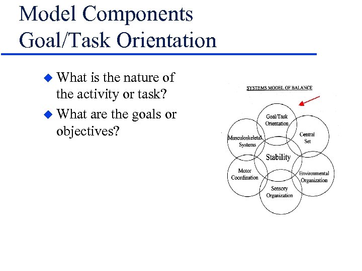 Model Components Goal/Task Orientation u What is the nature of the activity or task?