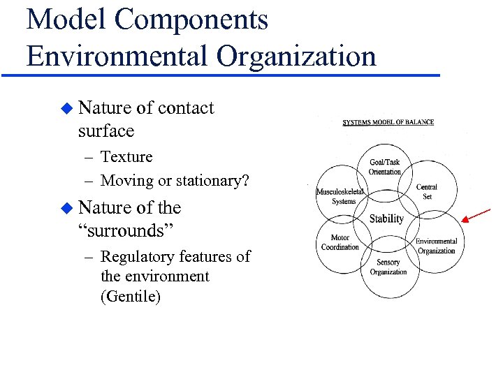 Model Components Environmental Organization u Nature of contact surface – Texture – Moving or