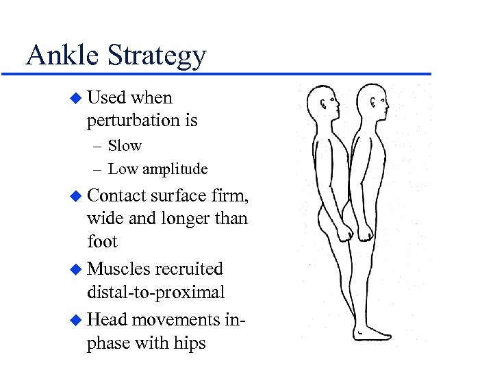 Ankle Strategy u Used when perturbation is – Slow – Low amplitude u Contact