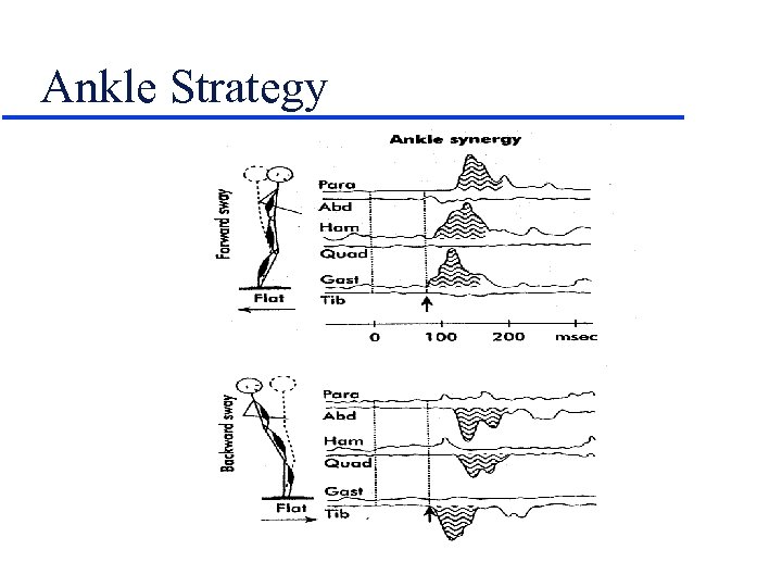 Ankle Strategy 