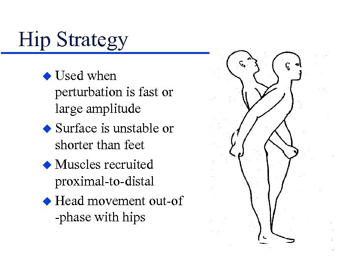 Hip Strategy u Used when perturbation is fast or large amplitude u Surface is