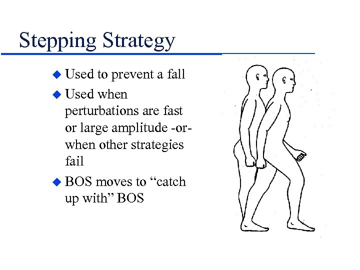 Stepping Strategy u Used to prevent a fall u Used when perturbations are fast