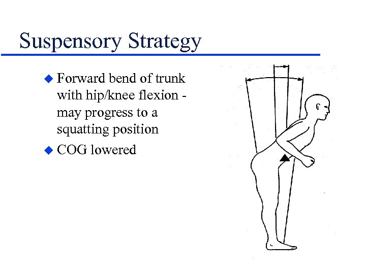 Suspensory Strategy u Forward bend of trunk with hip/knee flexion may progress to a