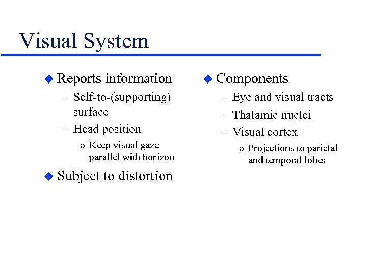 Visual System u Reports information – Self-to-(supporting) surface – Head position » Keep visual