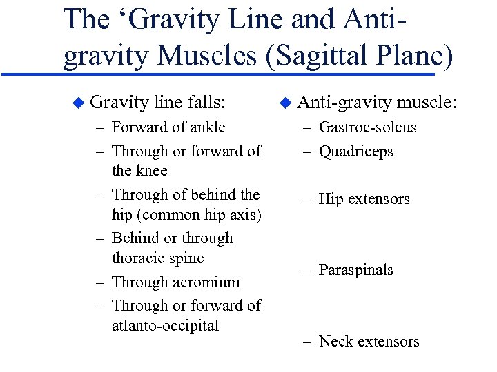 The ‘Gravity Line and Antigravity Muscles (Sagittal Plane) u Gravity line falls: – Forward