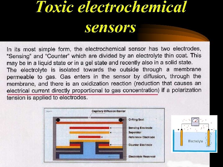 Toxic electrochemical sensors 