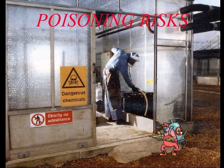 POISONING RISKS 