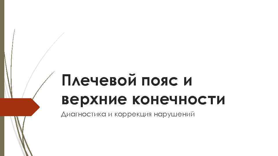 Плечевой пояс и верхние конечности Диагностика и коррекция нарушений 