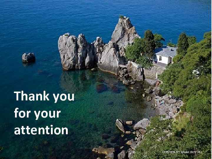 Thank you for your attention 