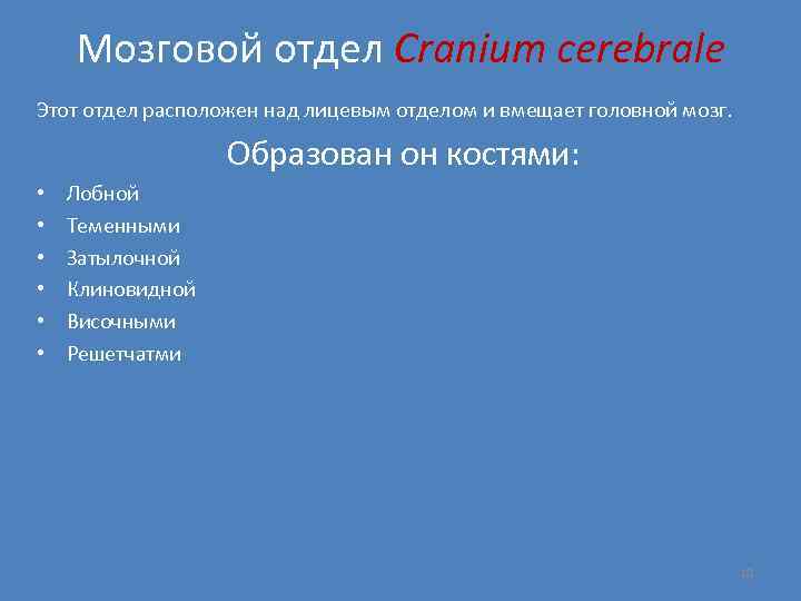 Мозговой отдел Cranium cerebrale Этот отдел расположен над лицевым отделом и вмещает головной мозг.