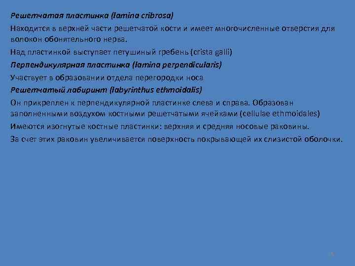 Решетчатая пластинка (lamina cribrosa) Находится в верхней части решетчатой кости и имеет многочисленные отверстия