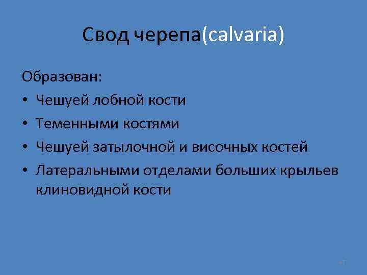 Свод черепа(calvaria) Образован: • Чешуей лобной кости • Теменными костями • Чешуей затылочной и