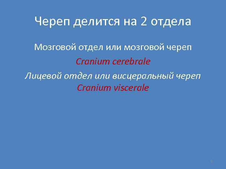 Череп делится на 2 отдела Мозговой отдел или мозговой череп Cranium cerebrale Лицевой отдел