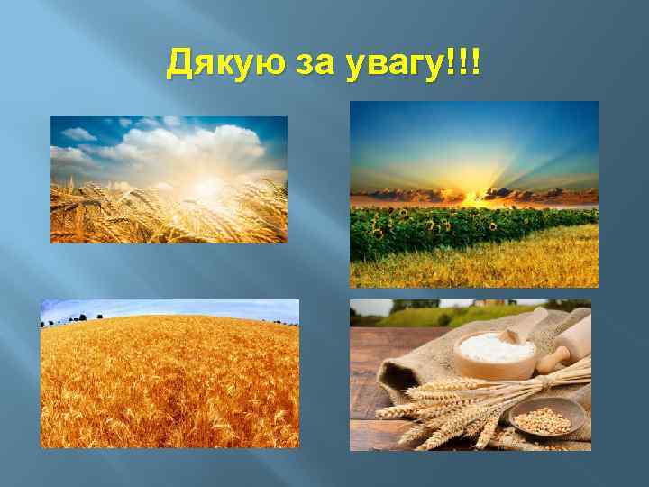 Дякую за увагу!!! 