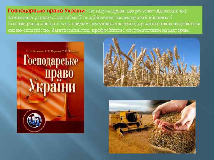 Господарське право України –це галузь права, що регулює відносини які виникають у процесі організації