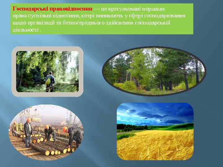 Господарські правовідносини — це врегульовані нормами права суспільні відносини, котрі виникають у сфері господарювання