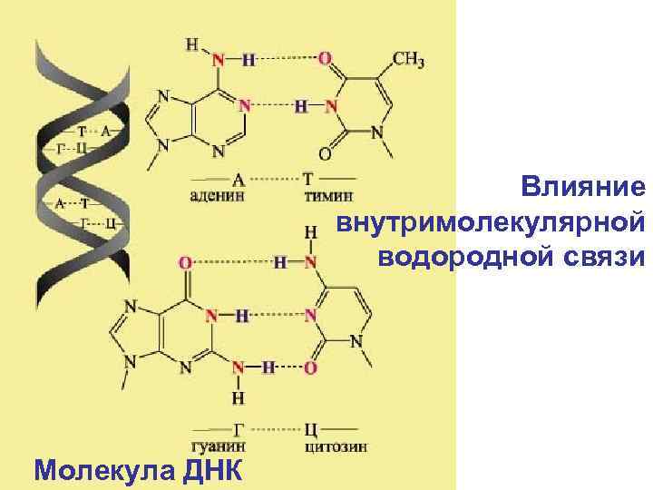 Водородные связи в днк. Внутримолекулярная водородная связь. Внутримолекулярная водородная связь примеры. Межмолекулярное и внутримолекулярное взаимодействие. Типы внутримолекулярных связей.