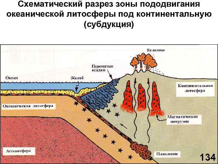 Схематический разрез зоны пододвигания океанической литосферы под континентальную (субдукция) 134 