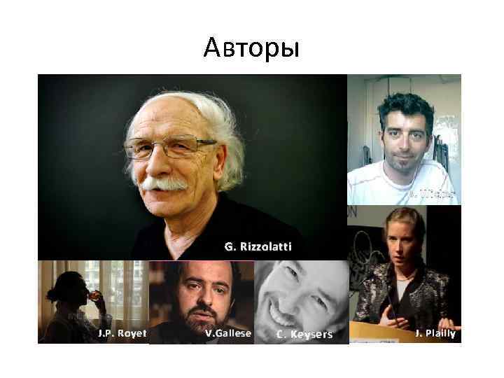 Авторы B. Wicker G. Rizzolatti J. P. Royet V. Gallese C. Keysers J. Plailly