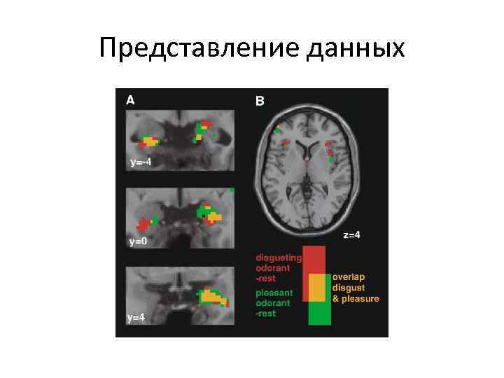 Представление данных 