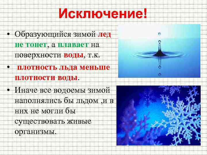 Исключение! • Образующийся зимой лед не тонет, а плавает на поверхности воды, т. к.