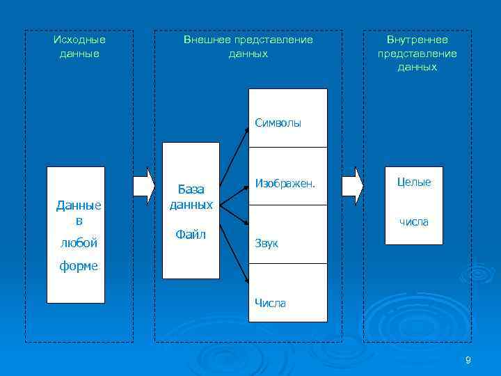 Исходные данные Внешнее представление данных Внутреннее представление данных символы Символы База данных, файл Данные