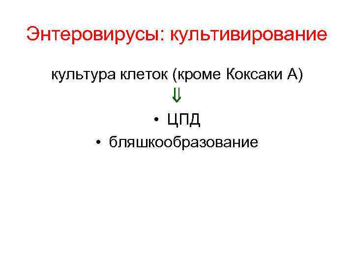 Энтеровирусы: культивирование культура клеток (кроме Коксаки А) • ЦПД • бляшкообразование 