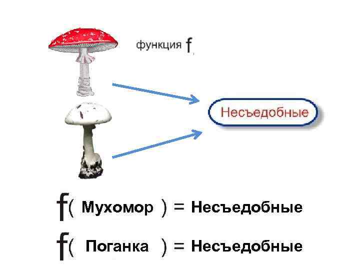 Мухомор Несъедобные Поганка Несъедобные 