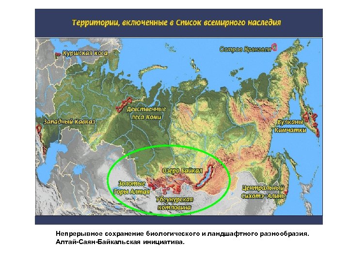 Непрерывное сохранение биологического и ландшафтного разнообразия. Алтай-Саян-Байкальская инициатива. 