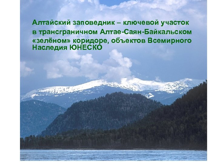Алтайский заповедник – ключевой участок в трансграничном Алтае-Саян-Байкальском «зелёном» коридоре, объектов Всемирного Наследия ЮНЕСКО