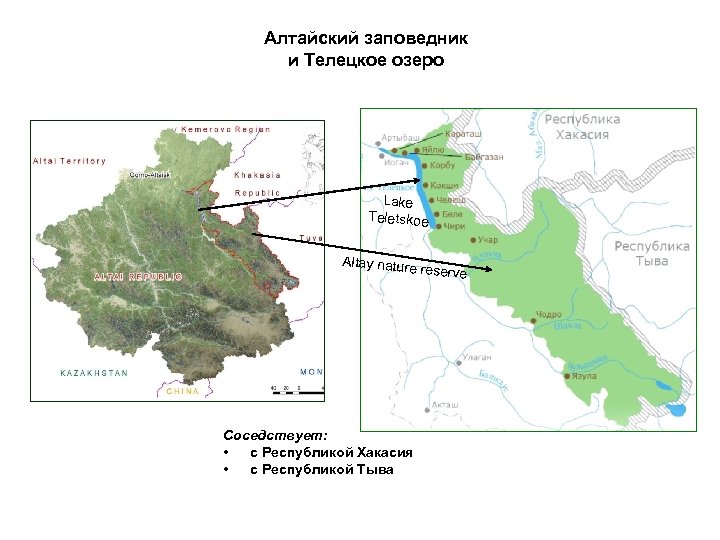 Алтайский государственный природный биосферный заповедник презентация