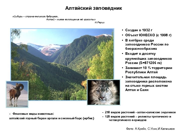 Алтайский заповедник «Сибирь – страна великого будущего, Алтай – живое воплощение её красоты» Н.