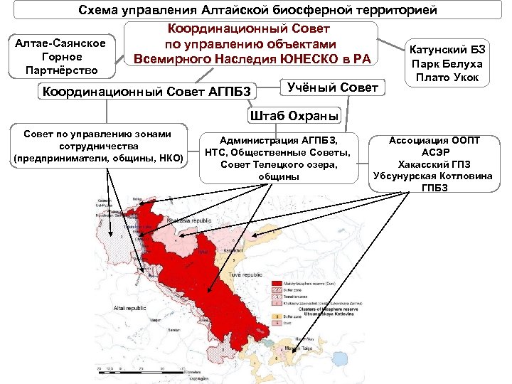 Схема управления Алтайской биосферной территорией Координационный Совет Алтае-Саянское по управлению объектами Катунский БЗ Горное